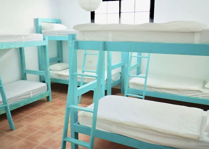 Surfers Retreat (adults Only) Hostel